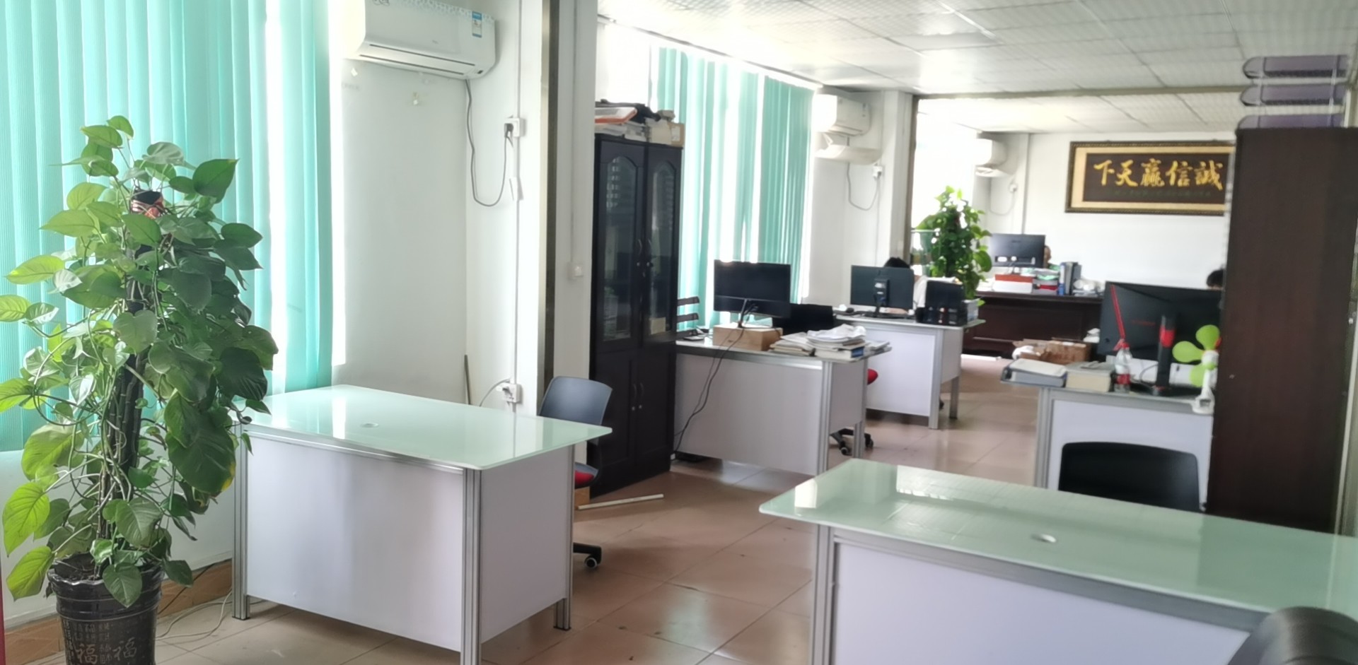 Cina SENNY PRINTING EQUIPMENT CO.,Ltd Profilo Aziendale
