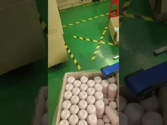 macchine per la serigrafia e l'imballaggio